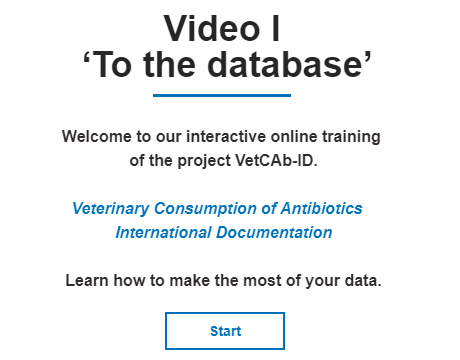 Video I - To the Database