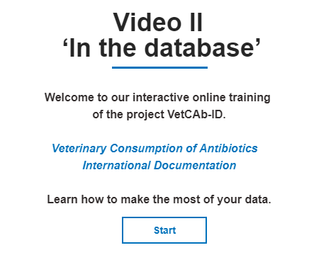 Video II - In the Database
